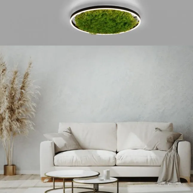 JUST LIGHT LED Deckenleuchte GERDA RITUS 60x60 Island Moos Switchmo dimmbar