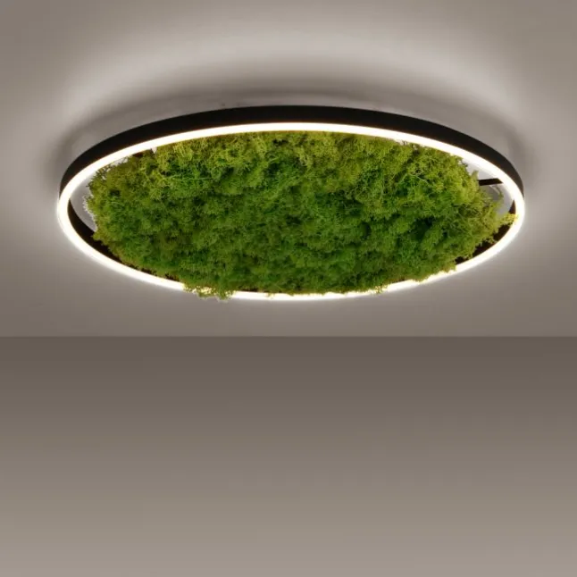 JUST LIGHT LED Deckenleuchte GERDA RITUS 60x60 Island Moos Switchmo dimmbar