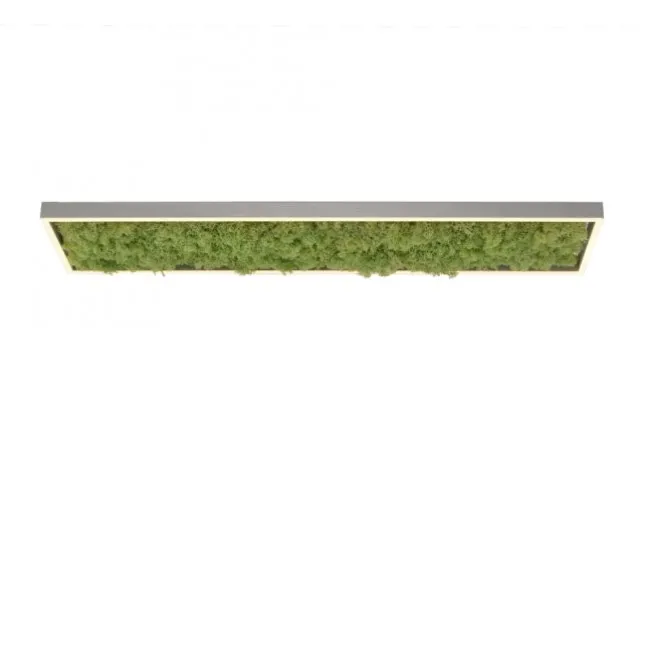 JUST LIGHT LED Deckenleuchte GERDA KNUT rechteckig Islandmoos Simplydim