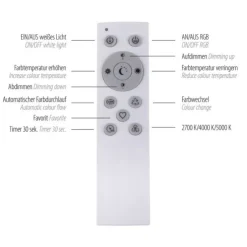 LED Deckenleuchte schwarz RGB Memoryfunktion CCT dimmbar steuerbar