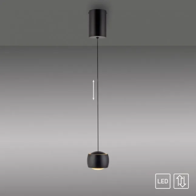 LED Pendelleuchte schwarz 1 flammig höhenverstellbar Esszimmer