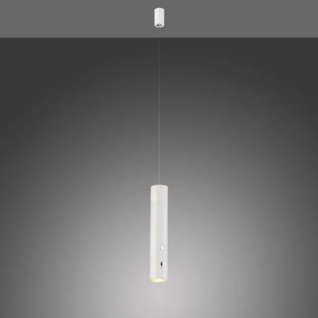 LED Pendelleuchte weiß höhenverstellbar magnetischer Kopf Akku