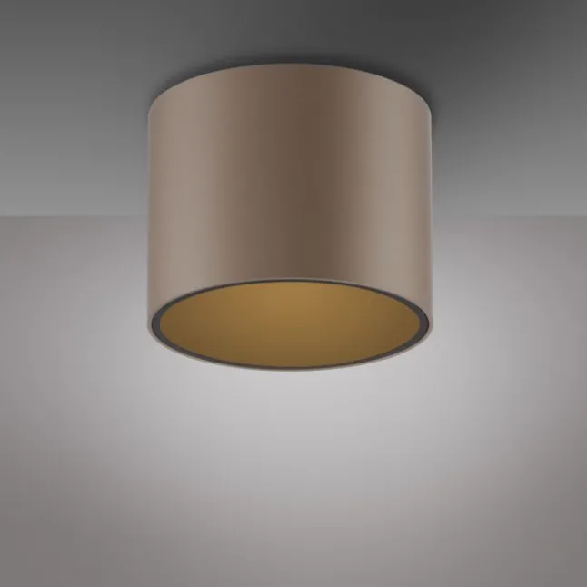 Paul Neuhaus LED Deckenleuchte PURE Point, bronce, Indoor, dimmbar