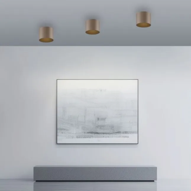 Paul Neuhaus LED Deckenleuchte PURE Point, bronce, Indoor, dimmbar