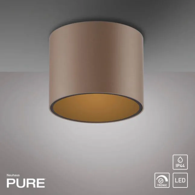 Paul Neuhaus LED Deckenleuchte PURE Point, bronce, Indoor, dimmbar