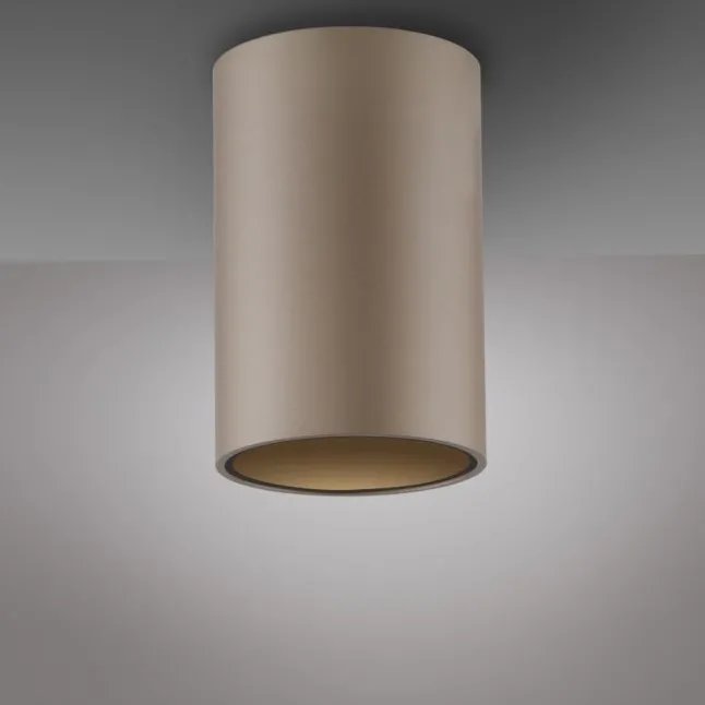 Paul Neuhaus LED Deckenleuchte PURE Point, bronce, Indoor, dimmbar
