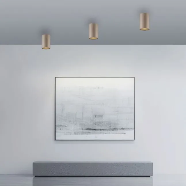 Paul Neuhaus LED Deckenleuchte PURE Point, bronce, Indoor, dimmbar