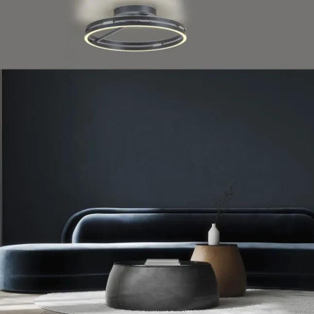 Paul Neuhaus LED Deckenleuchte PURE Loop mystic grey Fernbedienung