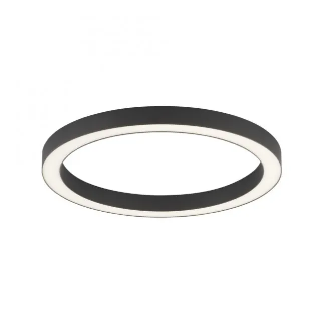 Paul Neuhaus LED Deckenleuchte PURE Lines Round graphite 50cm dimmbar CCT