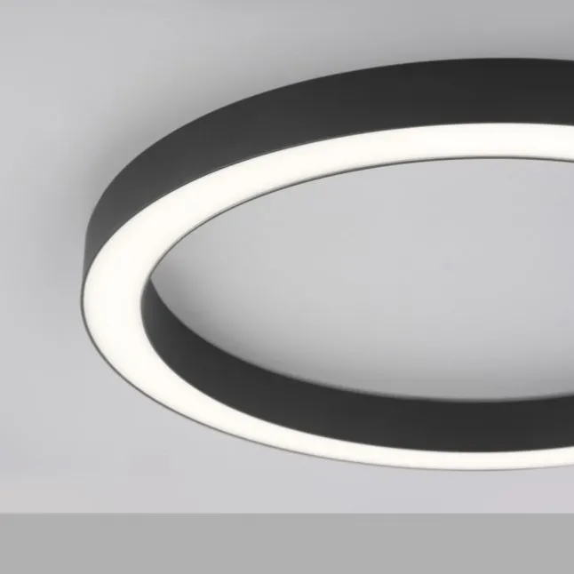 Paul Neuhaus LED Deckenleuchte PURE Lines Round graphite 50cm dimmbar CCT