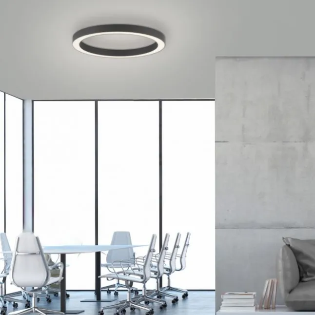 Paul Neuhaus LED Deckenleuchte PURE Lines Round graphite 50cm dimmbar CCT