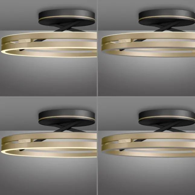 Paul Neuhaus LED Deckenleuchte PURE Loop black-pearl/ivory-gold Fernbedienung