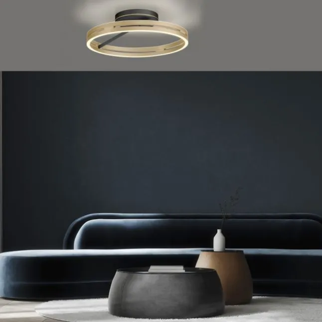 Paul Neuhaus LED Deckenleuchte PURE Loop black-pearl/ivory-gold Fernbedienung