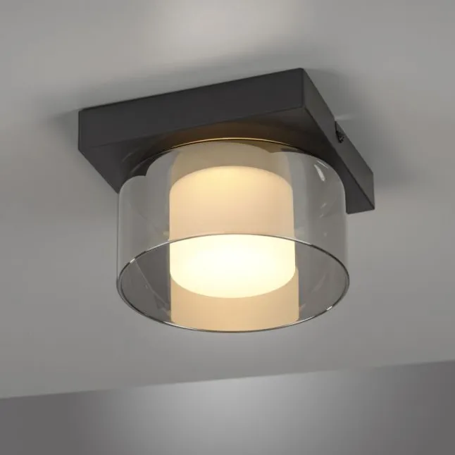 Paul Neuhaus LED Deckenleuchte 1 flammig dimmbar per Switchmo