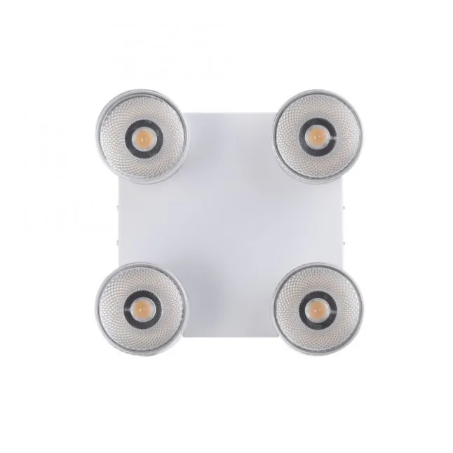 Paul Neuhaus LED Deckenleuchte PURE Nola weiß 4 flammig drehbar dimmbar