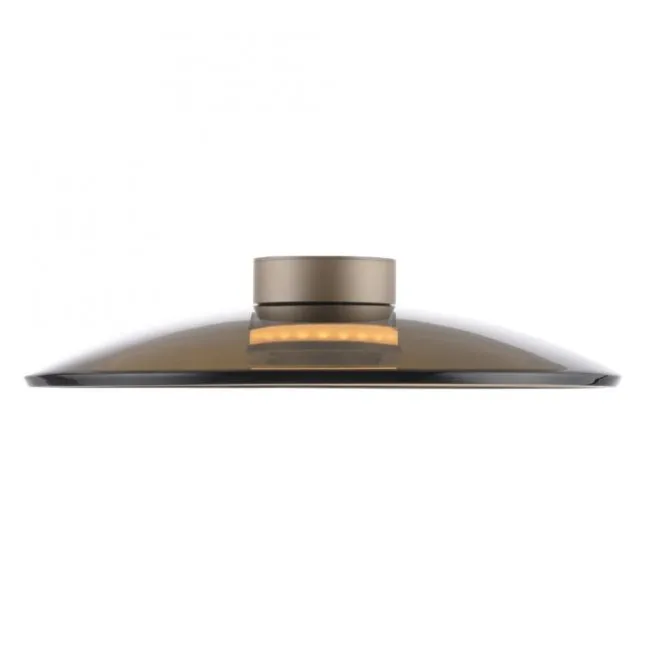 Paul Neuhaus LED Deckenleuchte Pure Moon bronce Amberfarben dimmbar