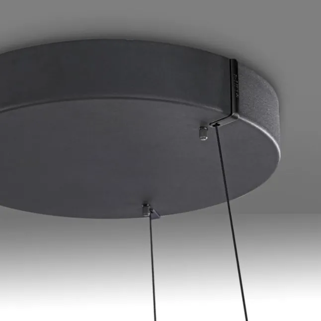 Paul Neuhaus LED Pendelleuchte PURE E-Loop oak/ black pearl elektrisch