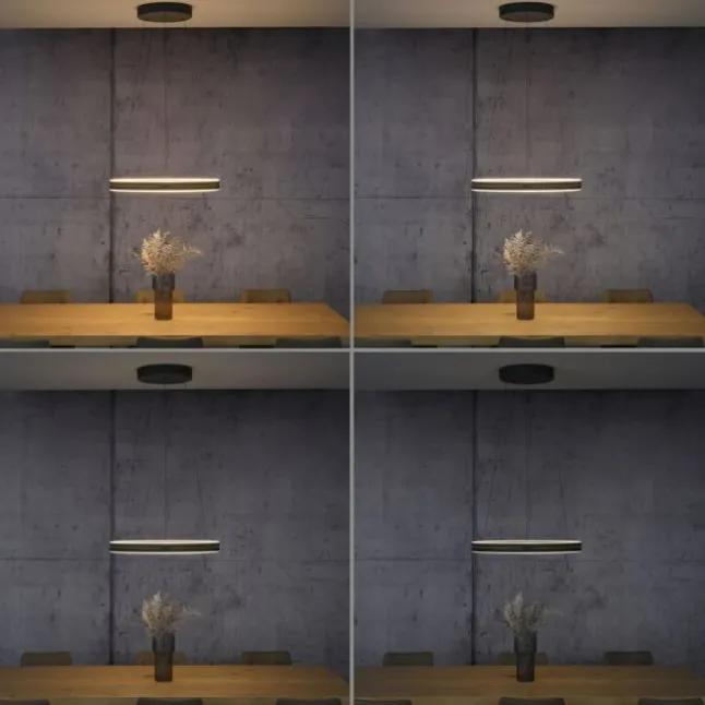 Paul Neuhaus LED Pendelleuchte PURE E-Loop oak/ black pearl elektrisch