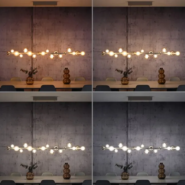 Paul Neuhaus LED Pendelleuchte PURE, bronce, elektrisch höhenverstellb., dimmbar