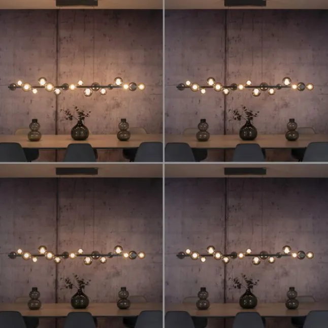 Paul Neuhaus LED Pendelleuchte PURE E-Popup,platin (grau), elektrisch höhenverstellb., dimmbar