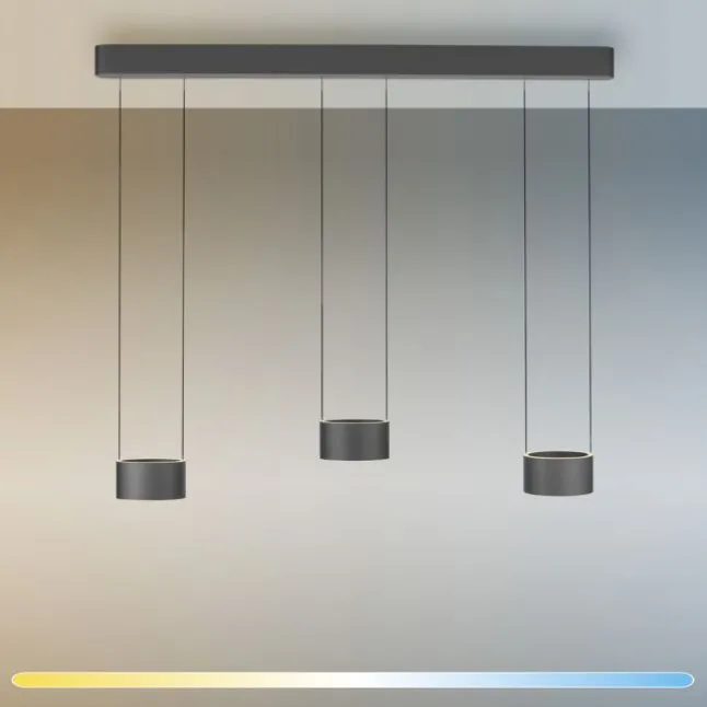 Paul Neuhaus LED Pendelleuchte PURE Clipse, platin (grau), Fernbedienung, Comfort Lift, Memoryfunktion