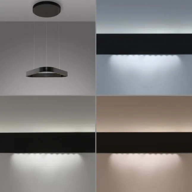 Paul Neuhaus LED Pendelleuchte Q-STRETTO, schwarz,