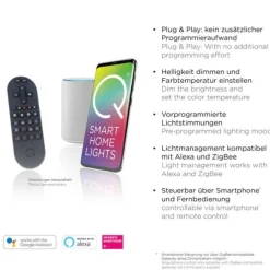 Paul Neuhaus LED Pendelleuchte Q-KON 1-flammig gold Smart Home App