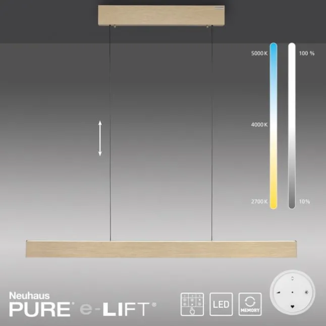 Paul Neuhaus LED Pendelleuchte PURE E-Motion imperial gold elektrisch