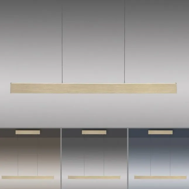 Paul Neuhaus LED Pendelleuchte PURE E-Motion imperial gold elektrisch