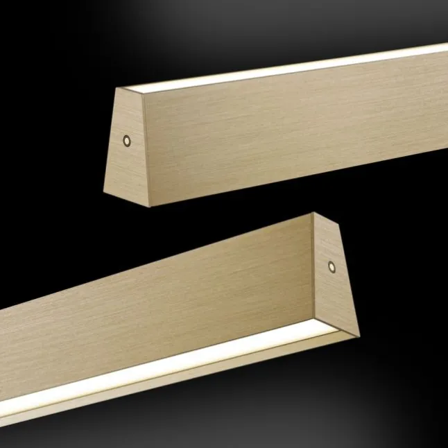 Paul Neuhaus LED Pendelleuchte PURE E-Motion imperial gold elektrisch
