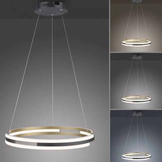 Paul Neuhaus LED Pendelleuchte Q-BELUGA messing matt Smart Home dimmbar