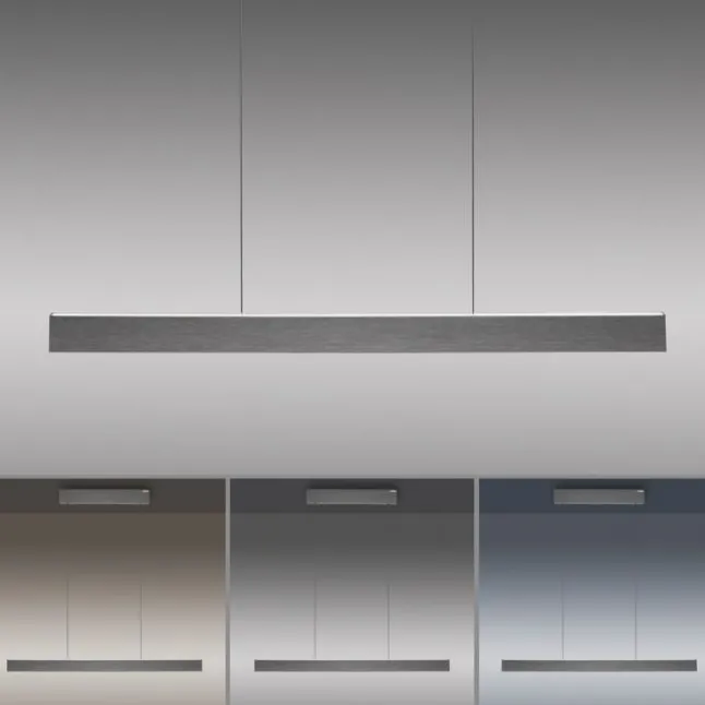 Paul Neuhaus LED Pendelleuchte PURE E-Motion platin (grau) elektrisch