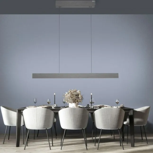 Paul Neuhaus LED Pendelleuchte PURE E-Motion platin (grau) elektrisch