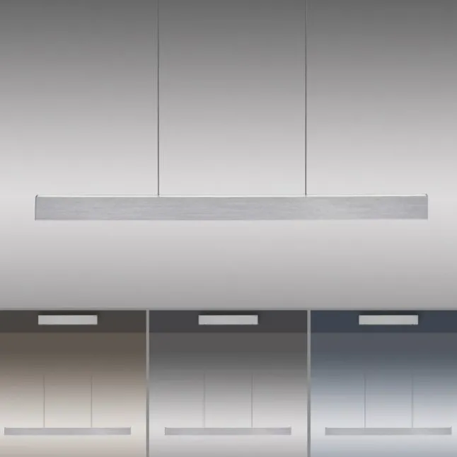 Paul Neuhaus LED Pendelleuchte PURE E-Motion diamond (alu) elektrisch