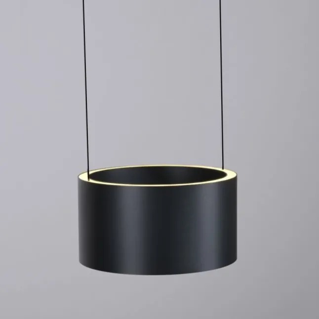 Paul Neuhaus LED Pendelleuchte PURE Clipse, platin (grau), Fernbedienung, Comfort Lift, Memoryfunktion