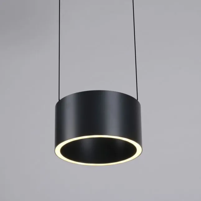 Paul Neuhaus LED Pendelleuchte PURE Clipse, platin (grau), Fernbedienung, Comfort Lift, Memoryfunktion