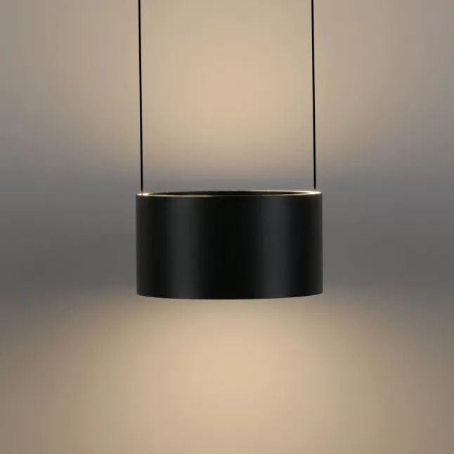 Paul Neuhaus LED Pendelleuchte PURE Clipse, platin (grau), Fernbedienung, Comfort Lift, Memoryfunktion
