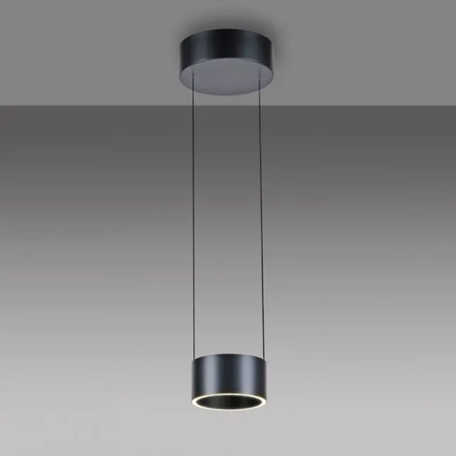 Paul Neuhaus LED Pendelleuchte PURE Clipse, platin (grau), Fernbedienung, Comfort Lift, Memoryfunktion