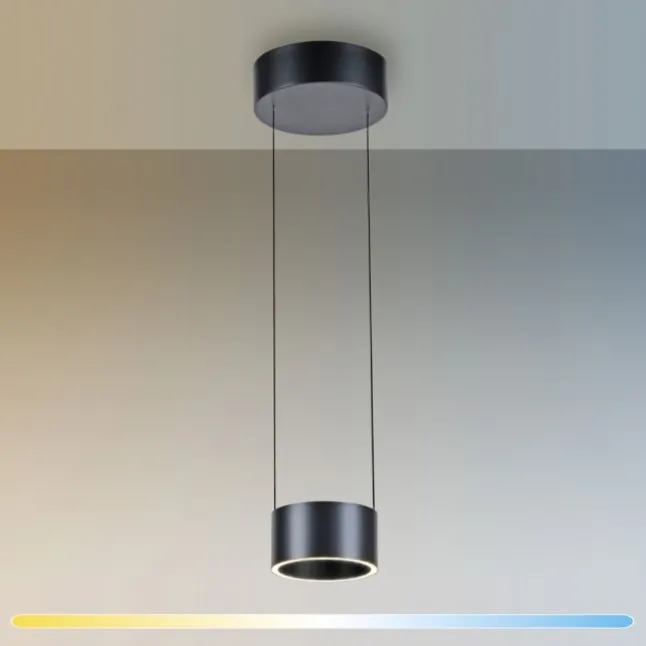 Paul Neuhaus LED Pendelleuchte PURE Clipse, platin (grau), Fernbedienung, Comfort Lift, Memoryfunktion