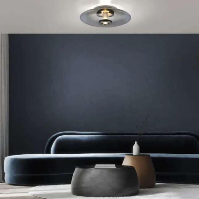 Paul Neuhaus LED Wand- und Deckenleuchte PURE Vitrum platin (grau) Rauchglas