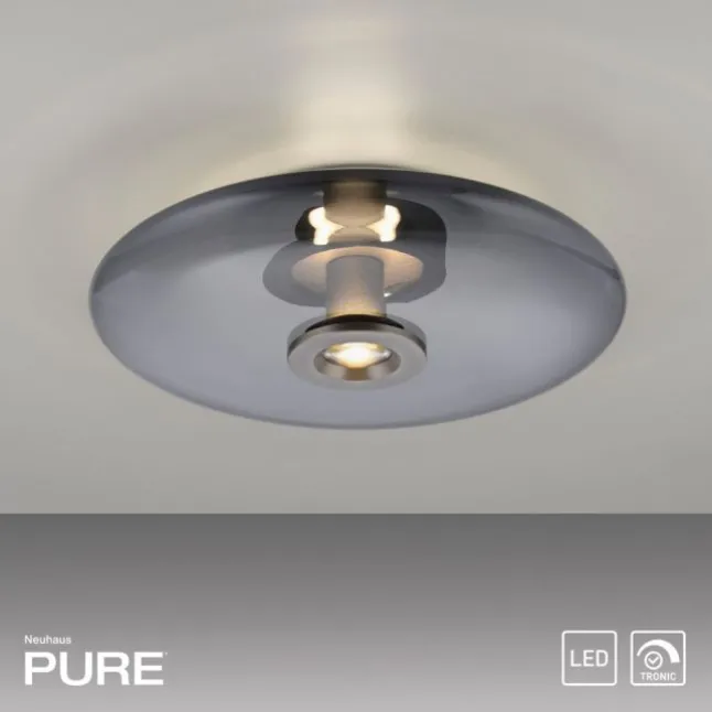 Paul Neuhaus LED Wand- und Deckenleuchte PURE Vitrum platin (grau) Rauchglas