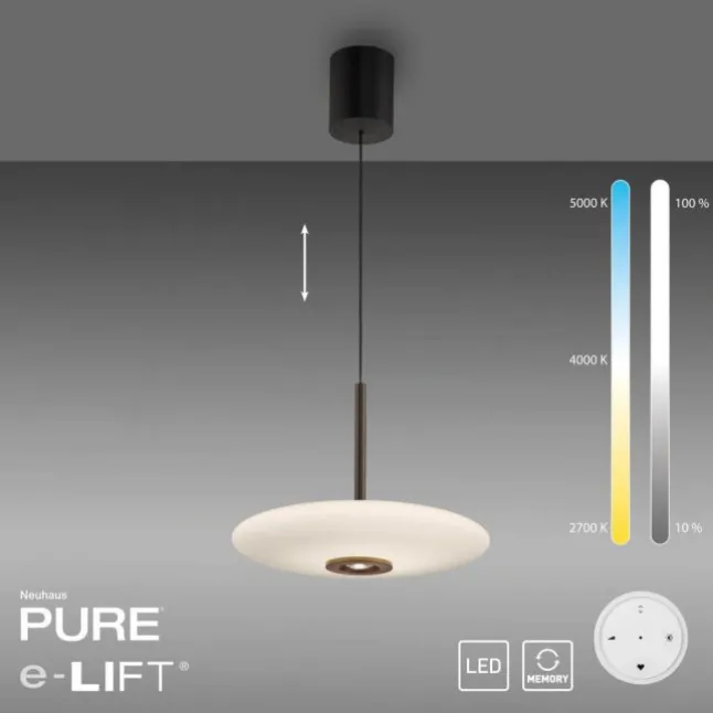 Paul Neuhaus Pendelleuchte PURE E-Vitrum dark-metal brown elektrisch
