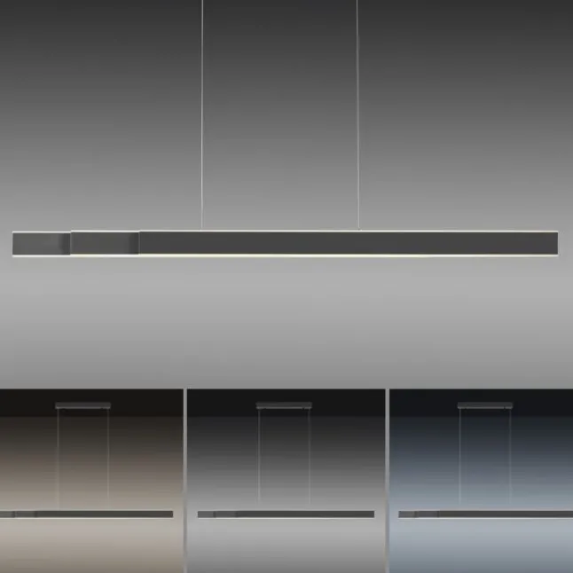 Paul Neuhaus PURE Lume LED Pendelleuchte graphite CCT Sensordimmer