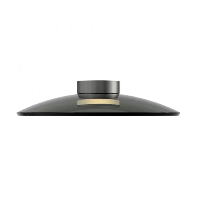 Paul Neuhaus PURE Moon Deckenleuchte platin (grau) dimmbar Wohnzimmer Küche