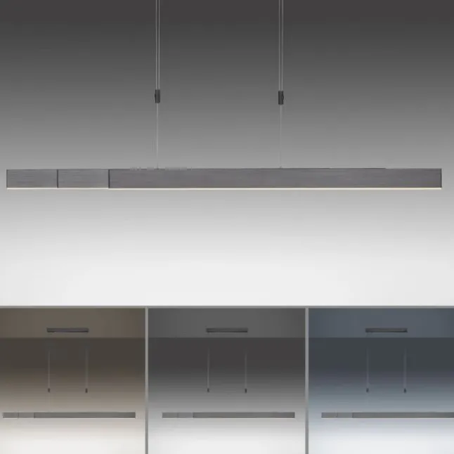 Paul Neuhaus PURE Moto e-SLIDE® platin (grau) elektrisch ausfahrbar Pendelleuchte