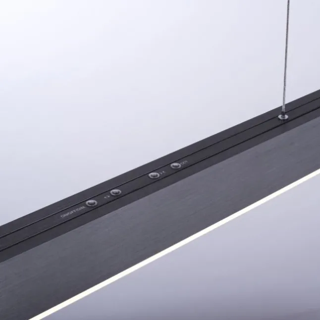 Paul Neuhaus PURE Moto e-SLIDE® platin (grau) elektrisch ausfahrbar Pendelleuchte