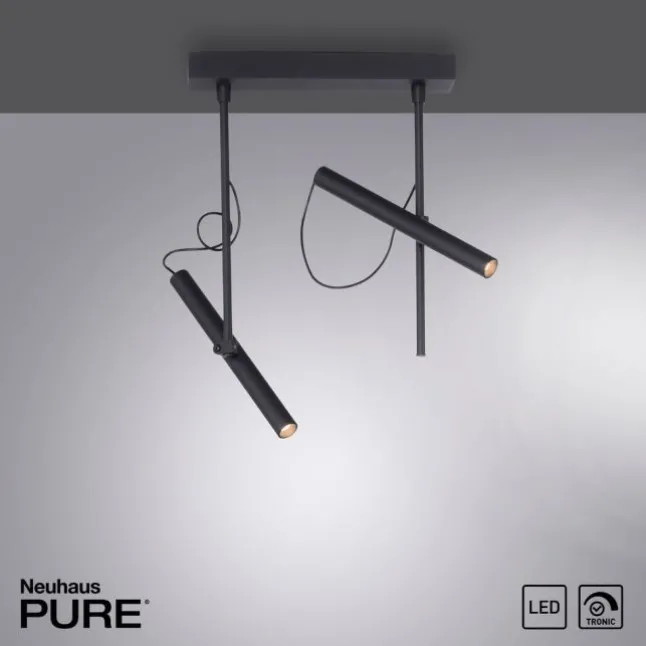 Paul Neuhaus PURE Tutua LED Deckenleuchte 2 flammig schwarz drehbar