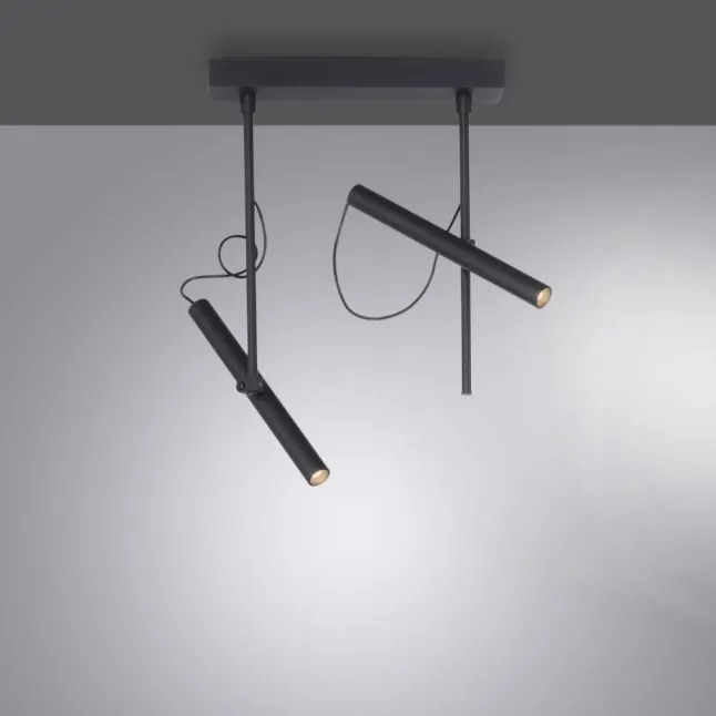 Paul Neuhaus PURE Tutua LED Deckenleuchte 2 flammig schwarz drehbar