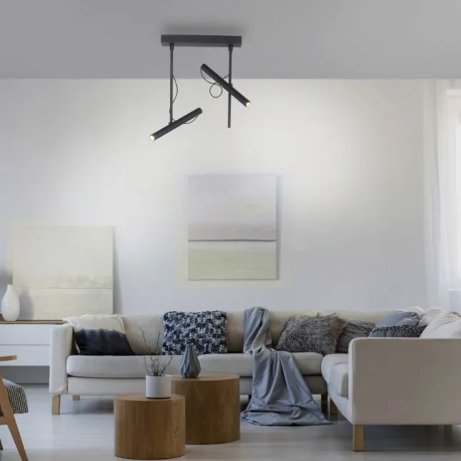 Paul Neuhaus PURE Tutua LED Deckenleuchte 2 flammig schwarz drehbar