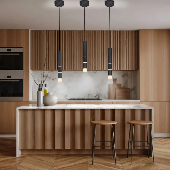 Paul Neuhaus PURE Vega LED Pendelleuchte schwarz 1 flammig mit Lichtmodi